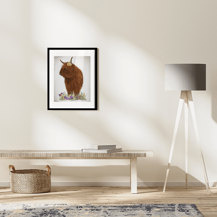 Highland Cow, Pansy