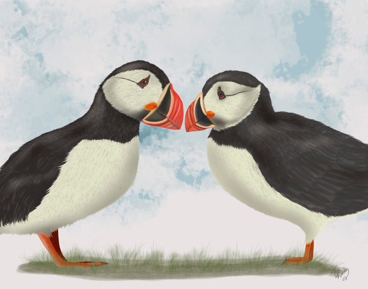 Puffin Love