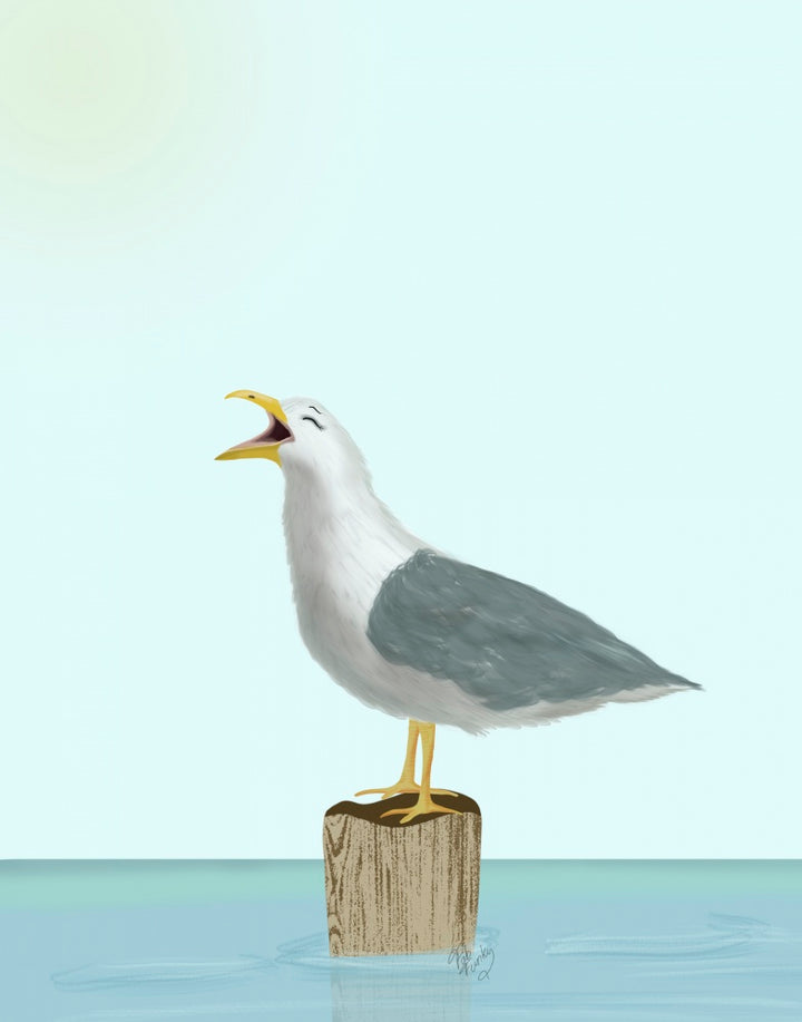 Seagull Laughing