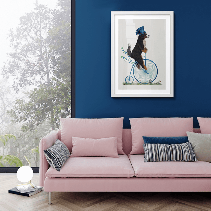 Bernese on Penny Farthing