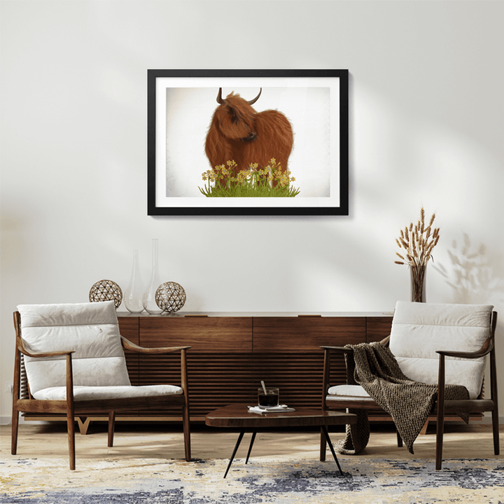 Highland Cow, Daffodil
