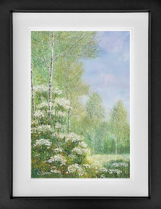 'The Hidden Meadow'