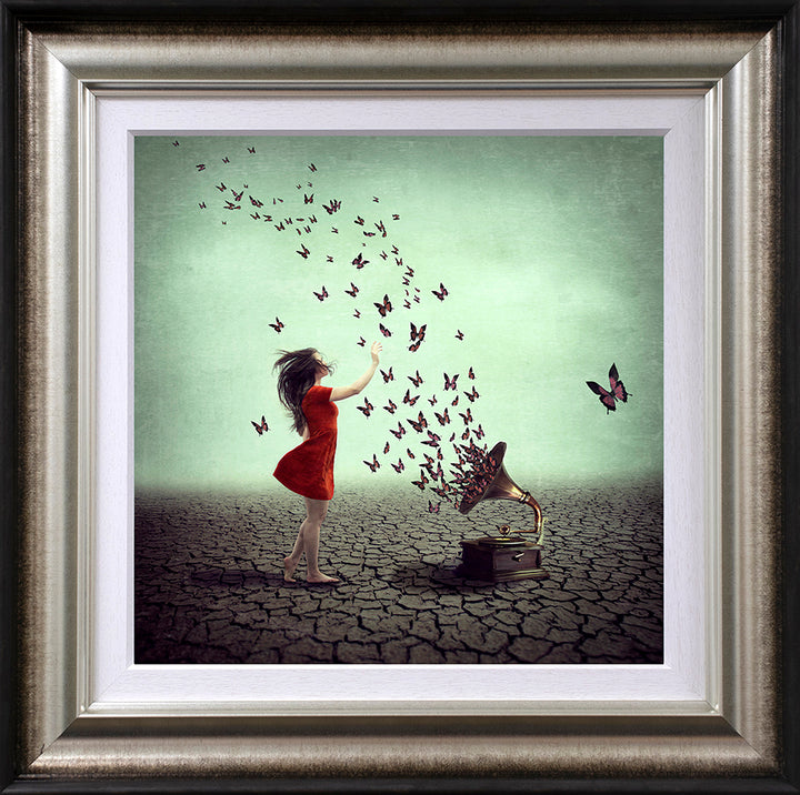 A Melody That Flies