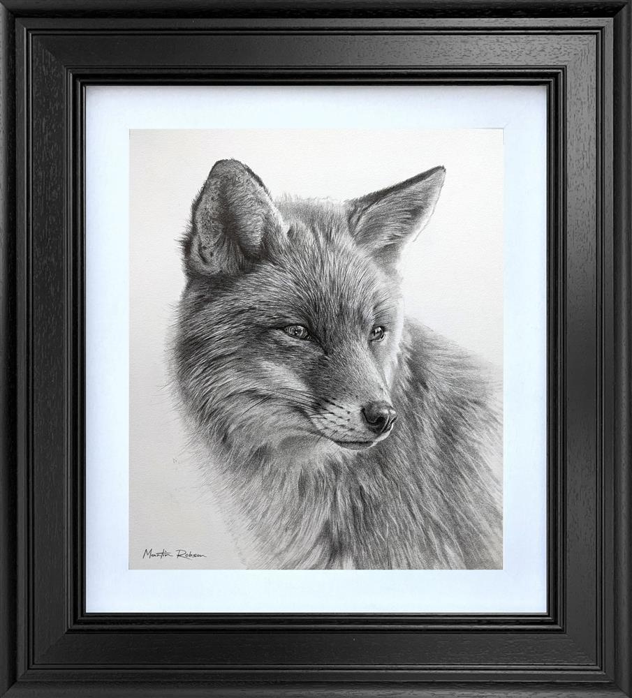 Curious Fox- Study