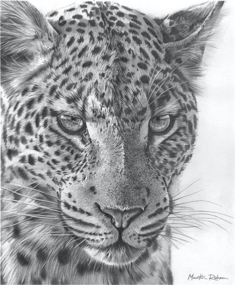 Emerald Gaze - Study