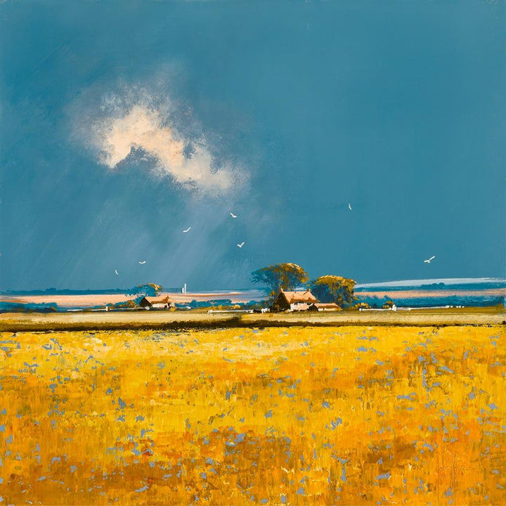 Field Of Dreams