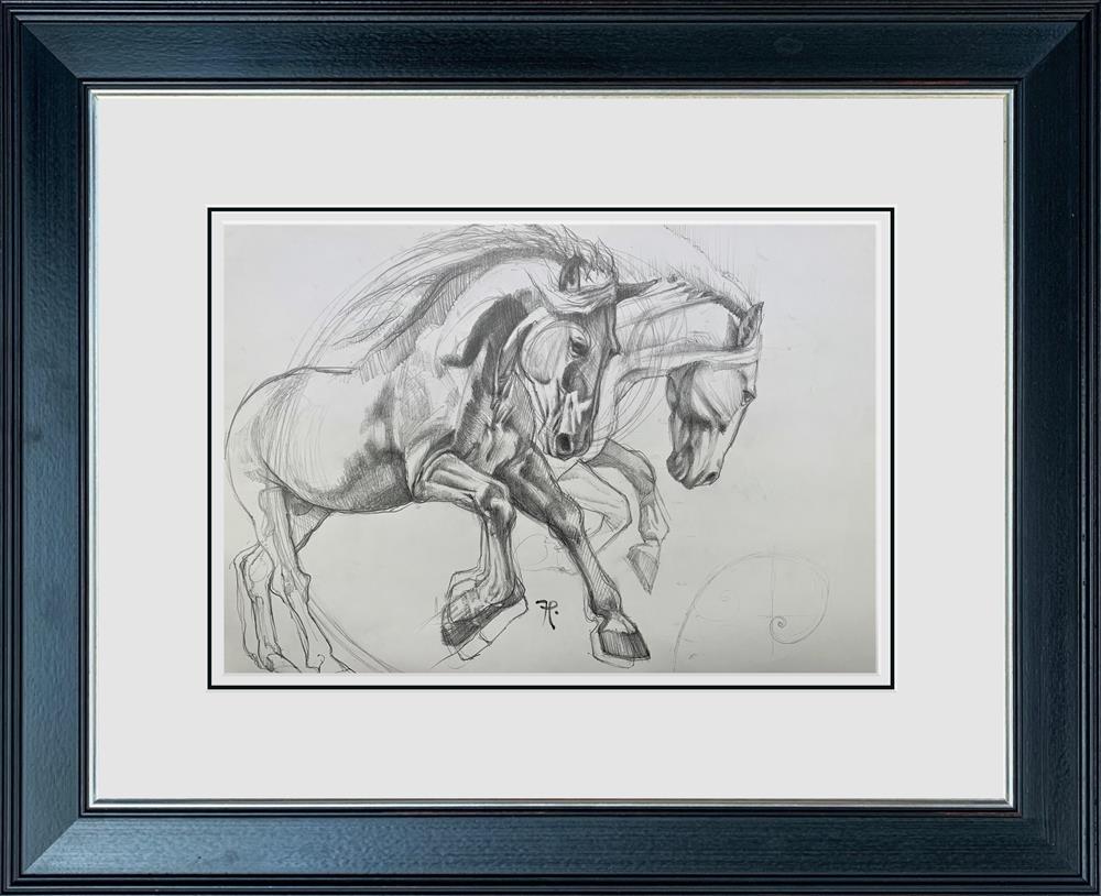 Galloping Of Dreams - Sketch