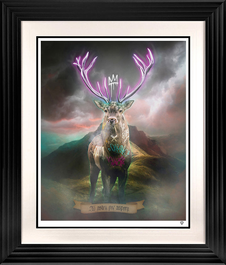 Highland Hunk (Purple)