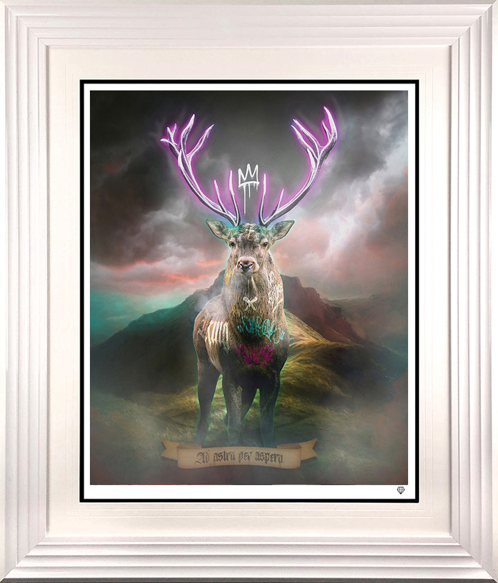 Highland Hunk (Purple)