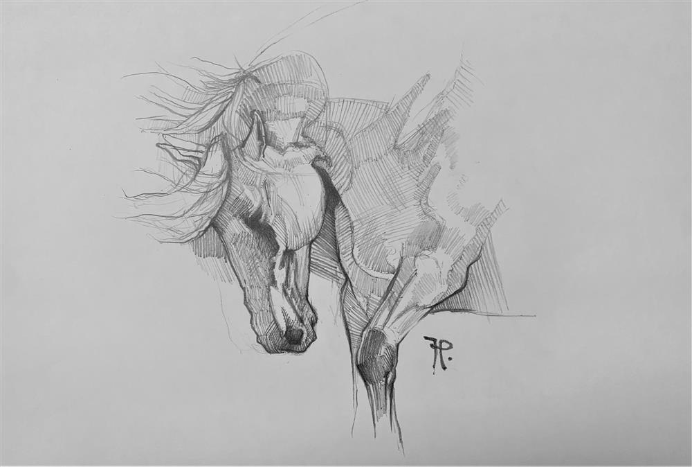 Honour - Sketch