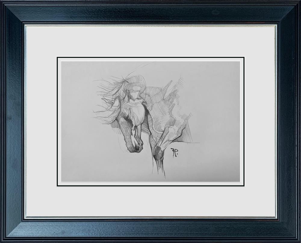 Honour - Sketch