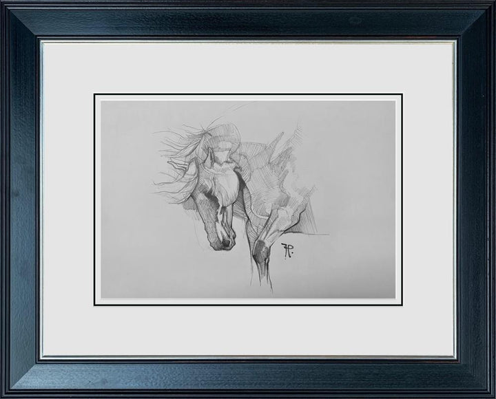 Honour - Sketch