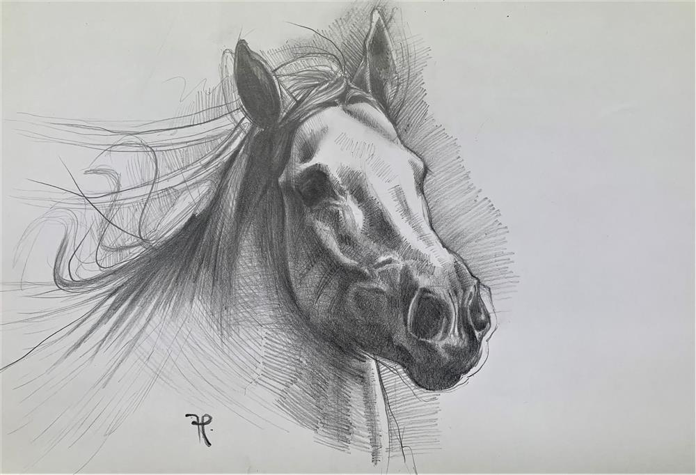 Increasing Speed - Sketch