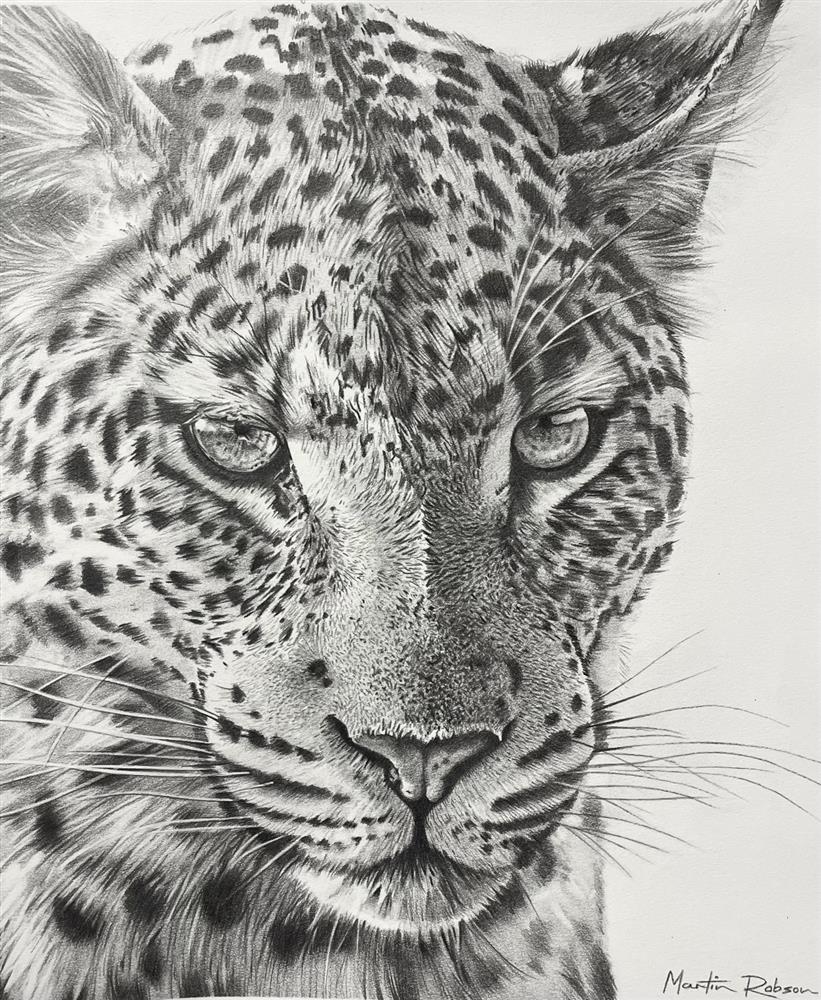 Into The Shadows - Study