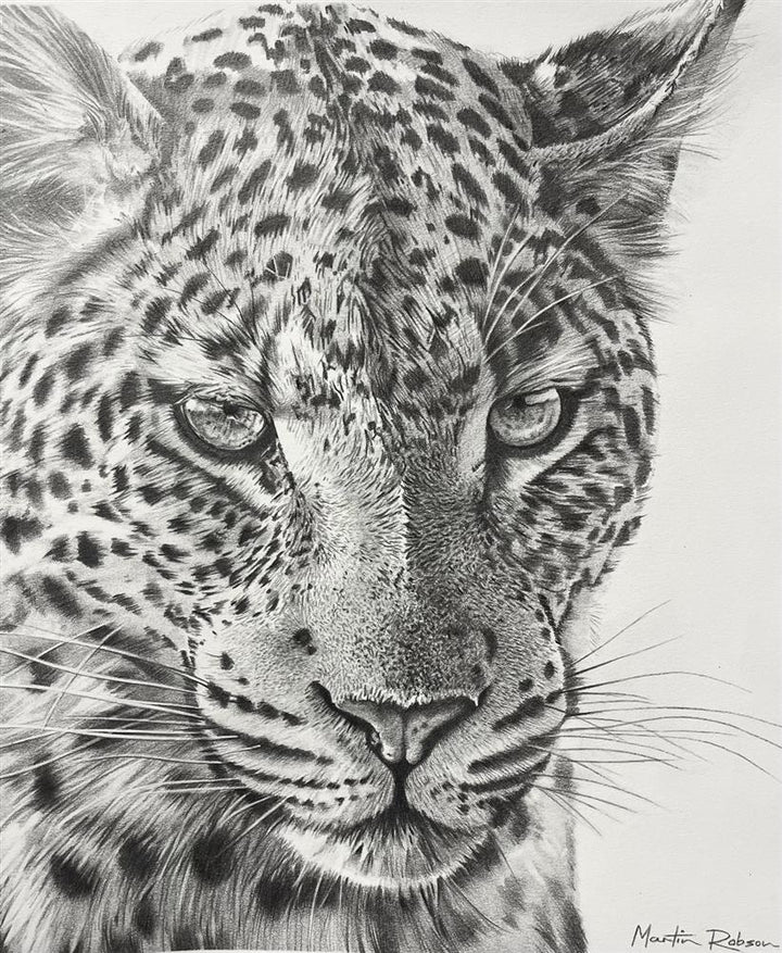 Into The Shadows - Study