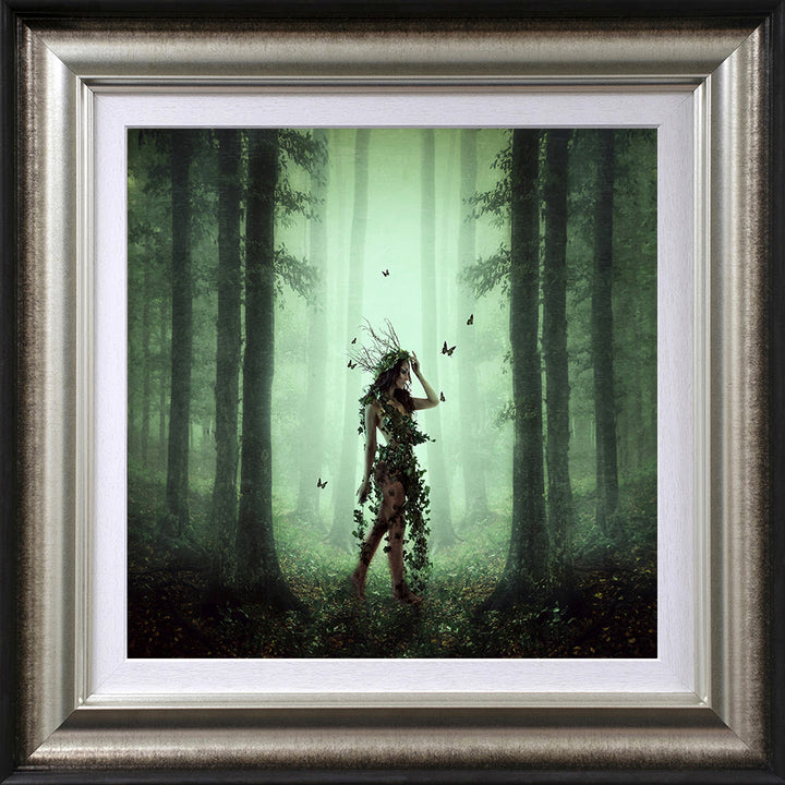 Ivy