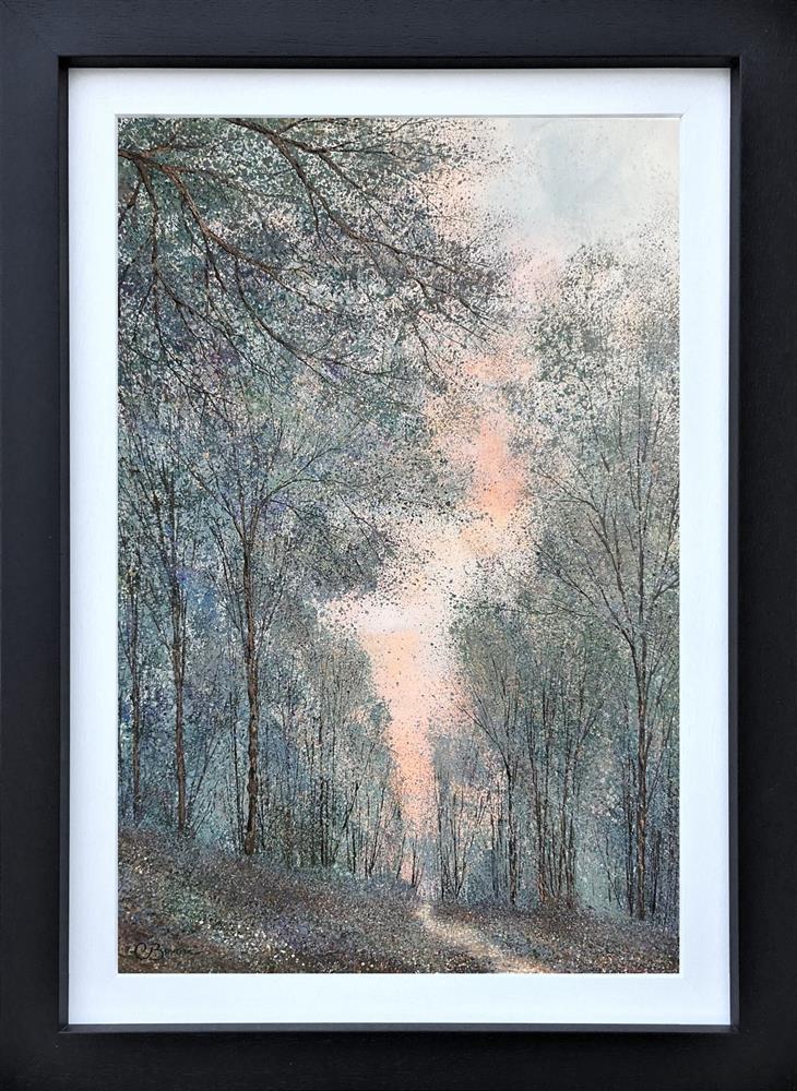 Late Evening Light