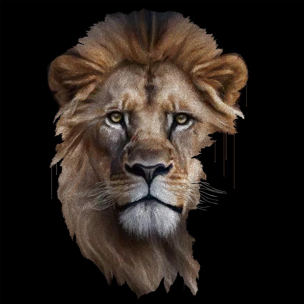 Magnus - Deluxe Aluminum Di-Bond