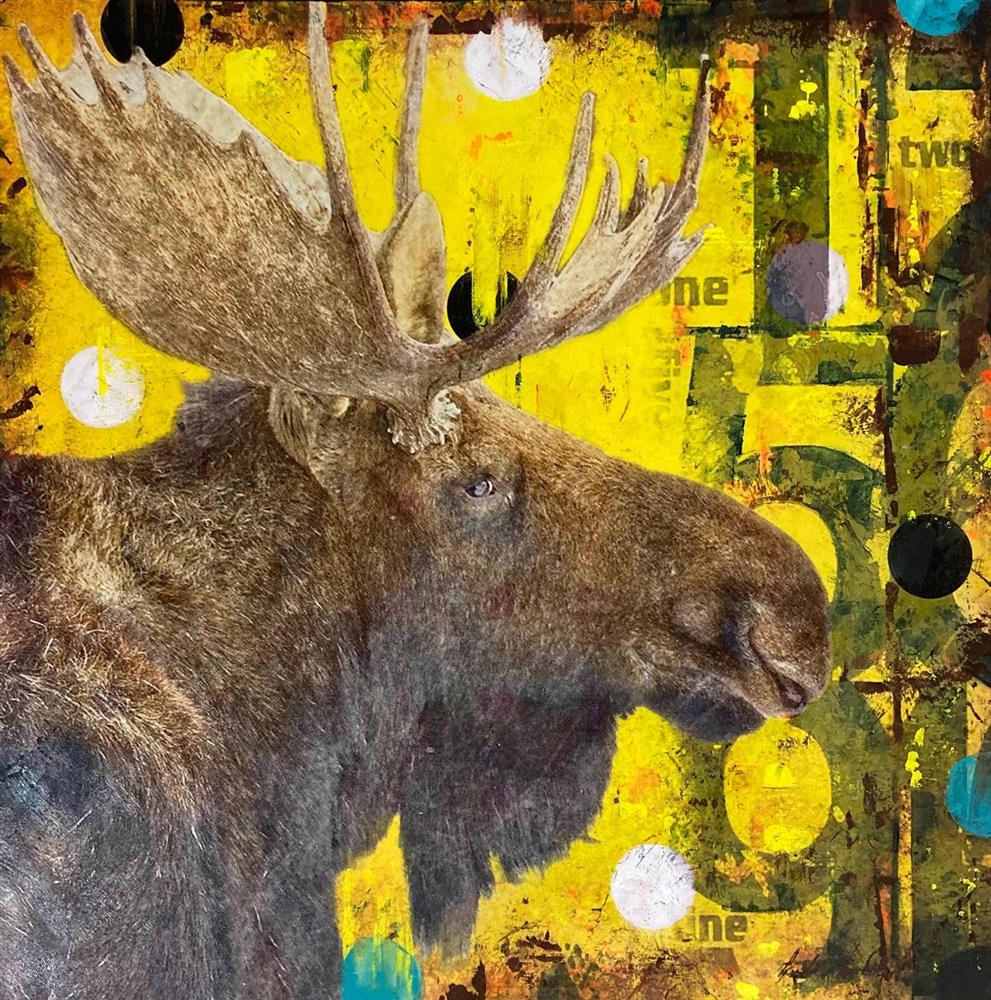 Moose