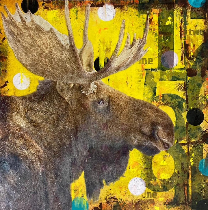 Moose