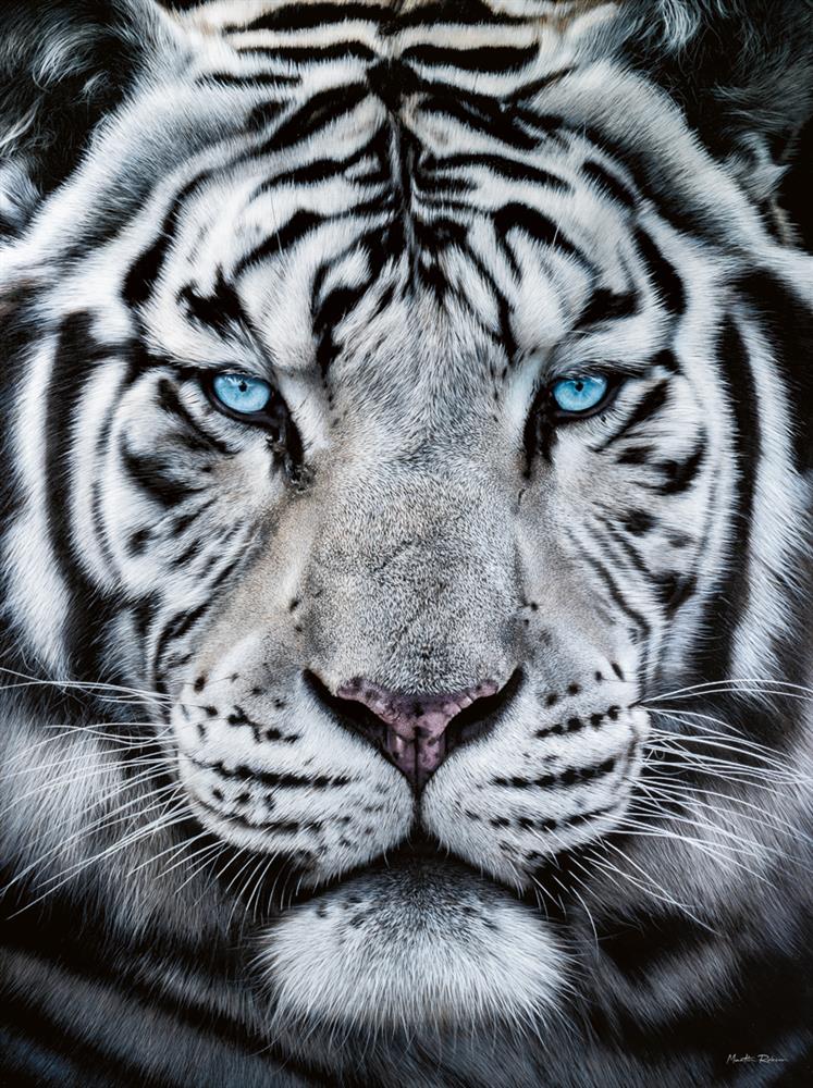 The Silent Warrior