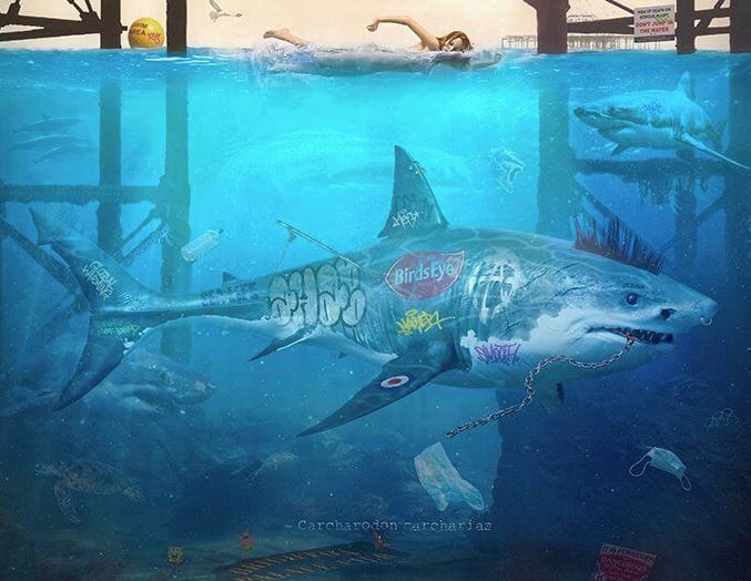 Under The Pier