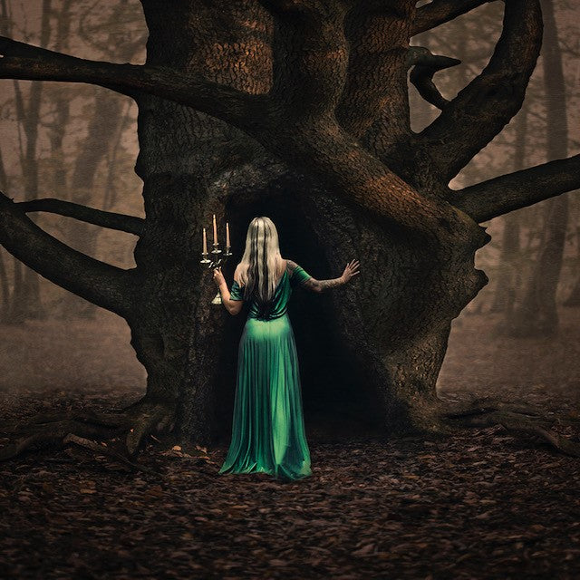 Woodland Whispers