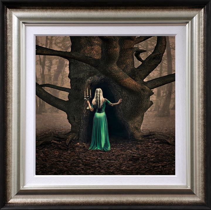 Woodland Whispers