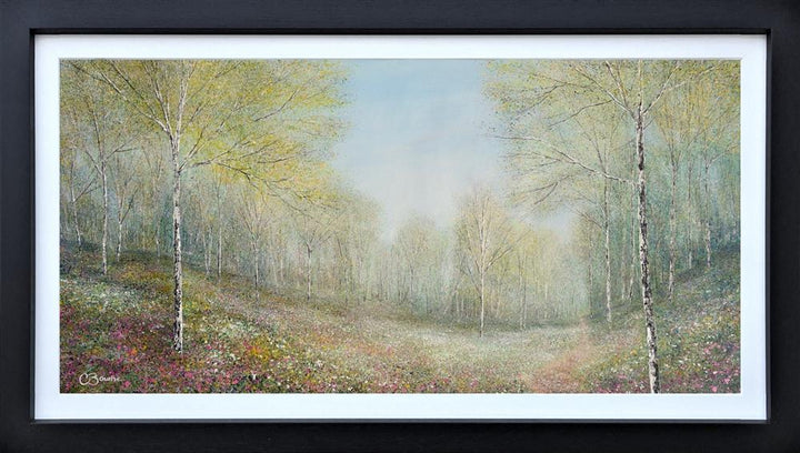 Wildflowers Adorn The Woodland Floor