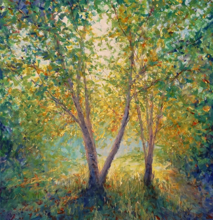 Young Birch Trees
