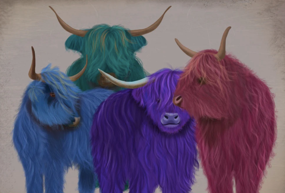 Highland Cow Wall Art Prints