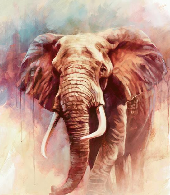Elephant Wall Art Prints