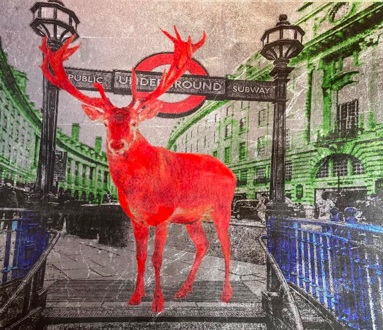 Stag Wall Art Prints