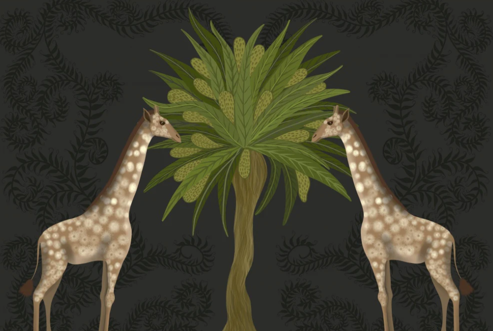 Giraffe Wall Art Prints