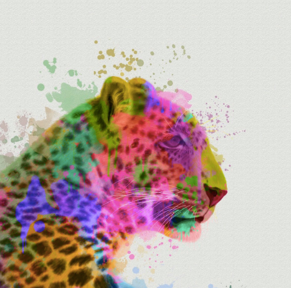 Leopard Wall Art Prints