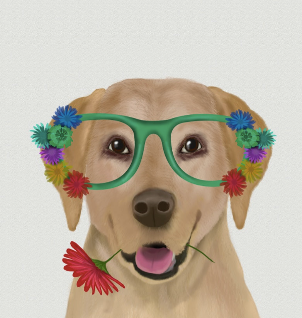Labrador Wall Art
