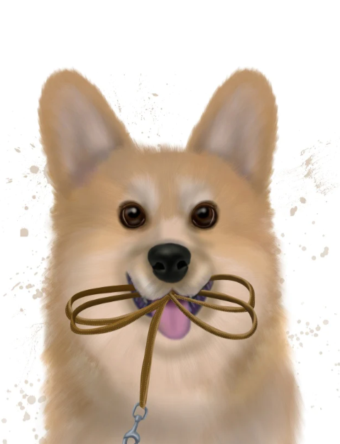 Corgi Wall Art