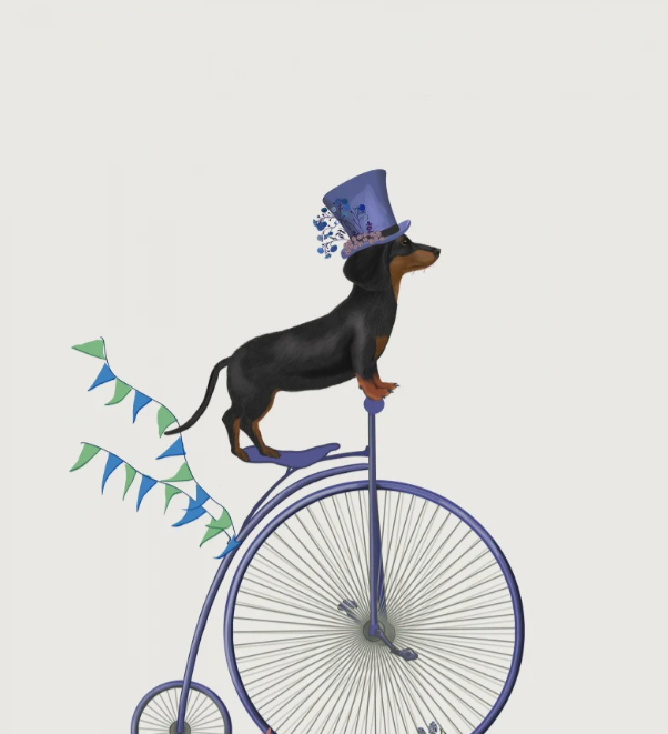 Dachshund Wall Art