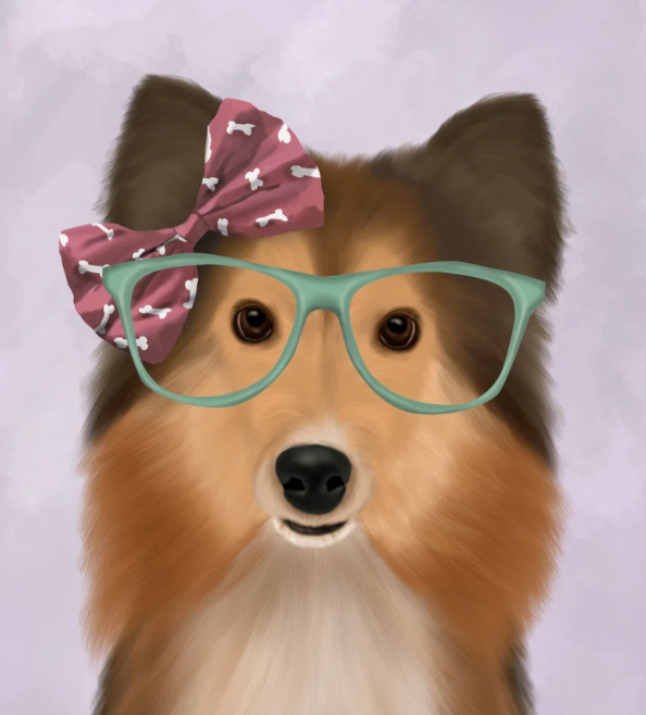 Shetland Sheepdog Wall Art Prints