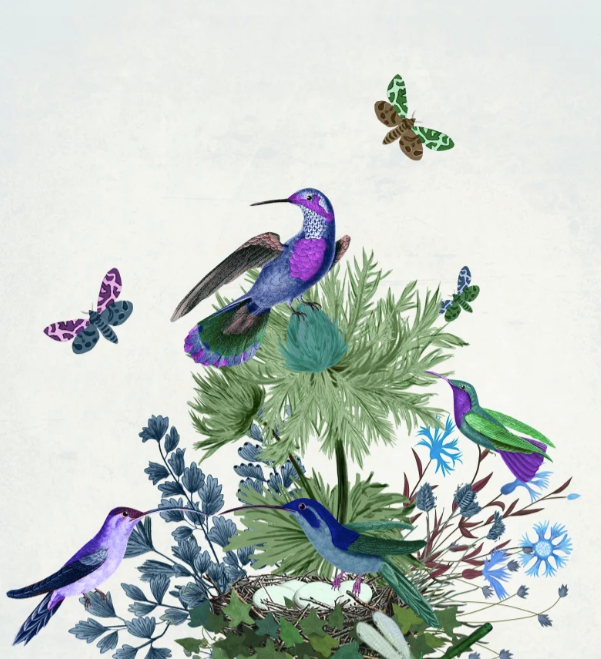 Birds Wall Art Prints