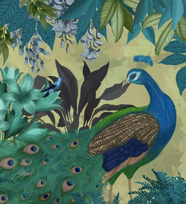 Peacock Wall Art Prints