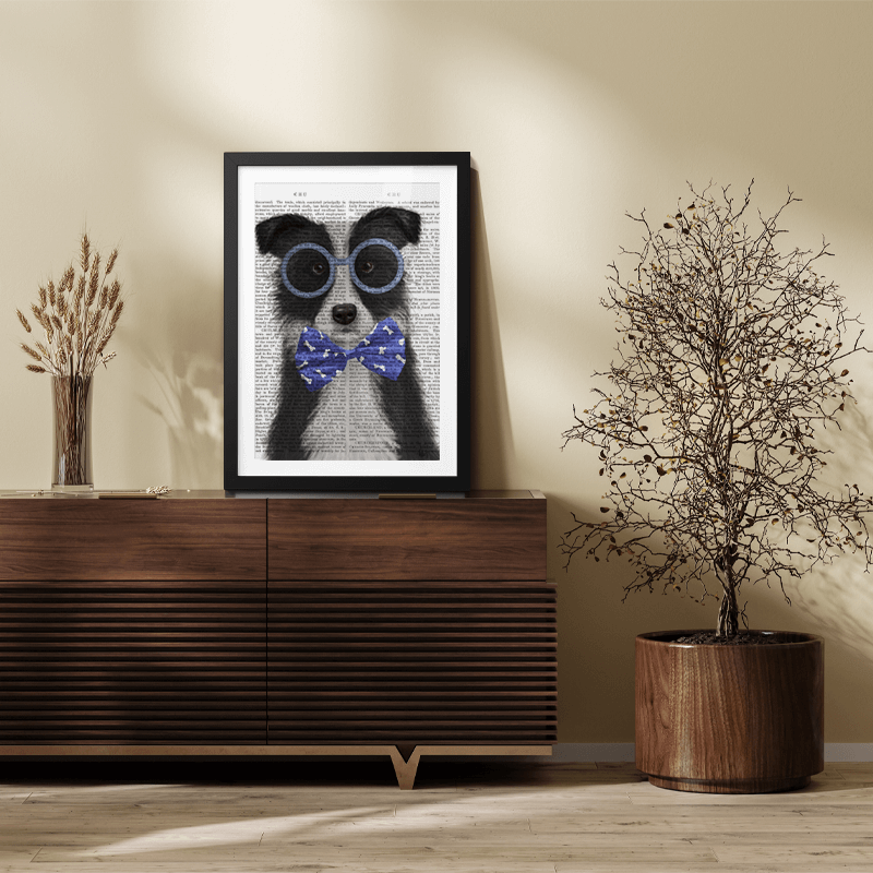 Border Collie, Black and White, with Glasses and Bow Tie
