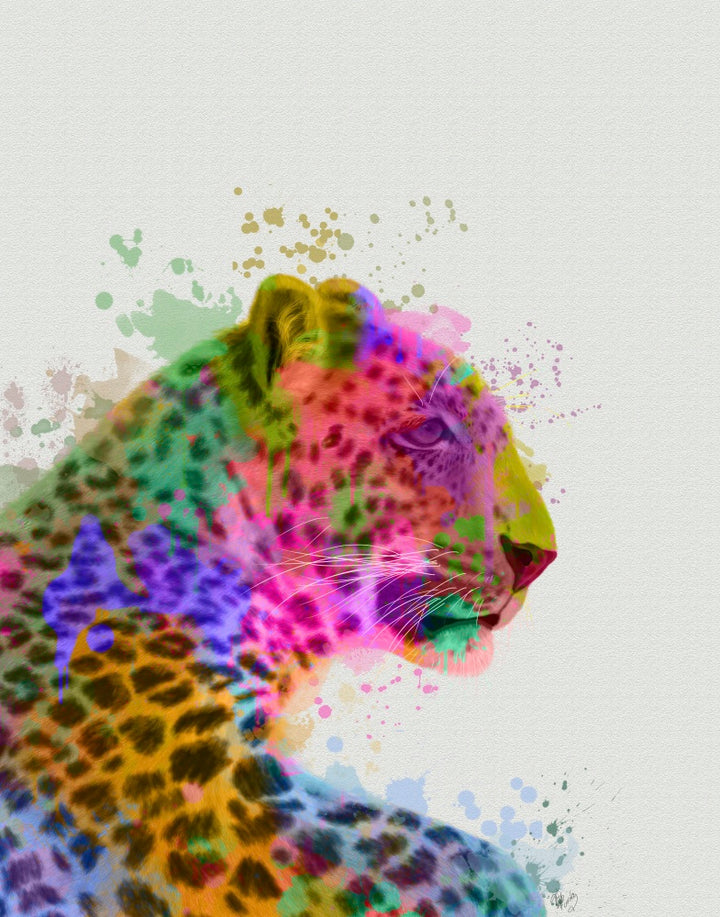 Leopard Rainbow Splash 1