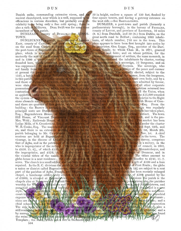Highland Cow, Pansy Book Print