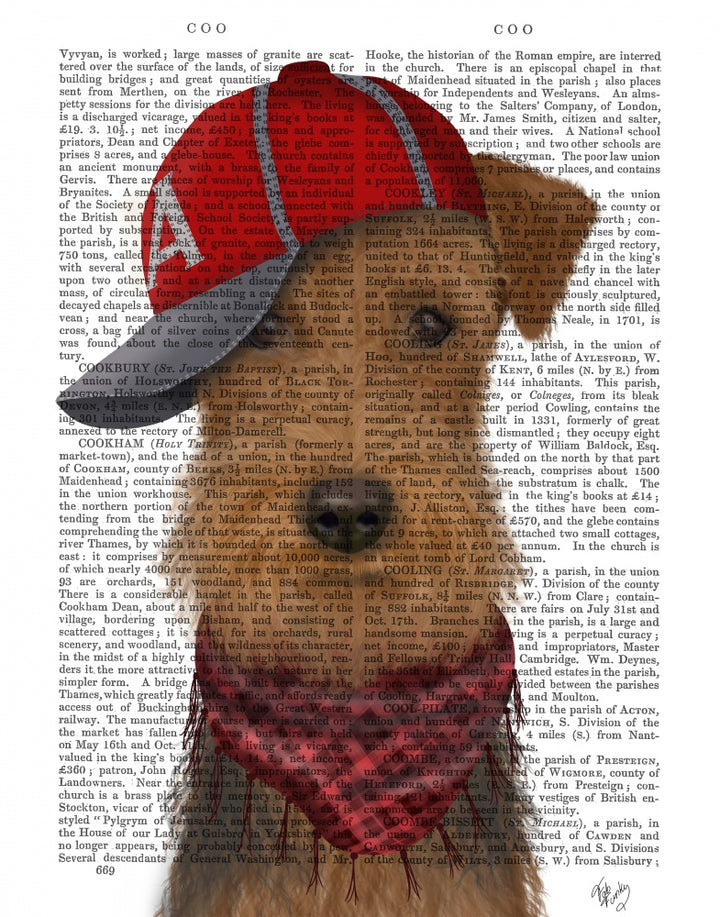 Airedale and Baseball Cap