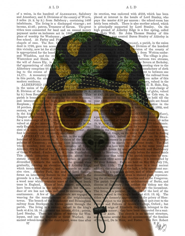 Beagle and Bucket Hat