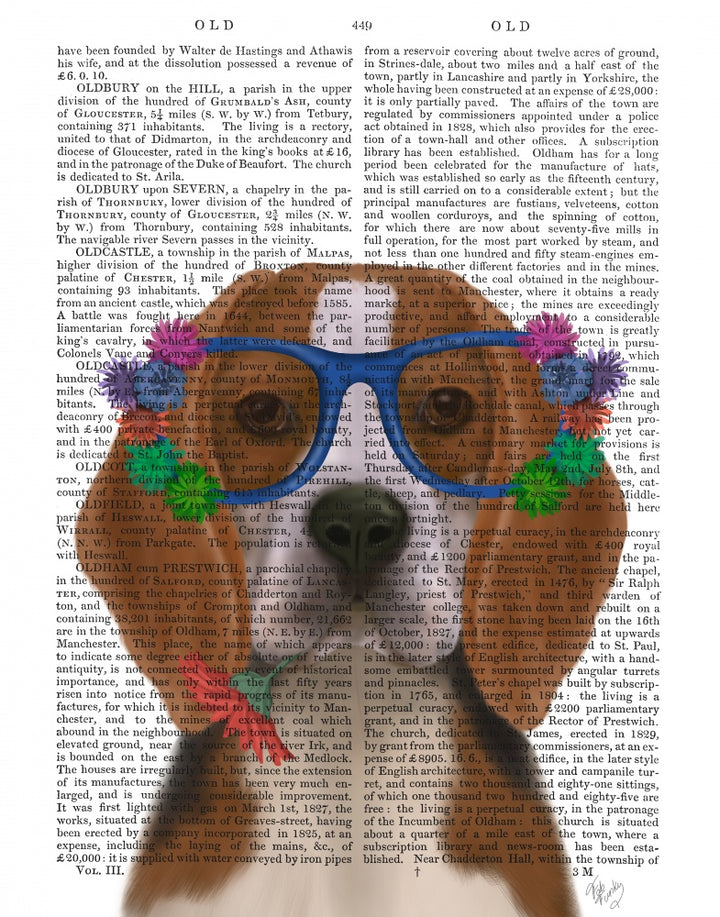 Beagle and Flower Glasses