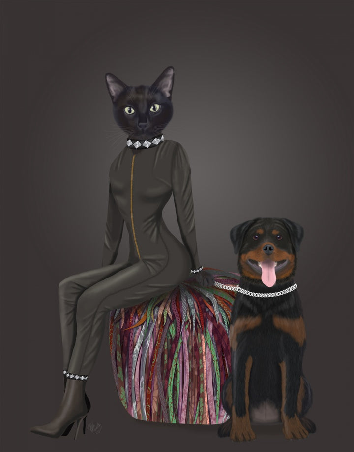 Black Cat and Rottweiler