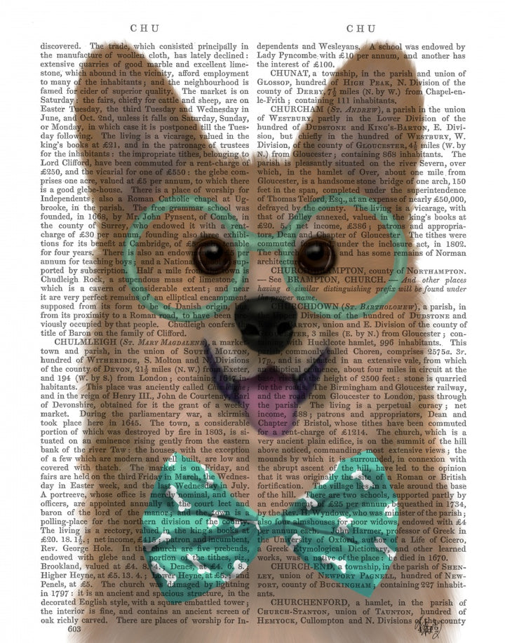 Corgi with Glasses and Bow Tie