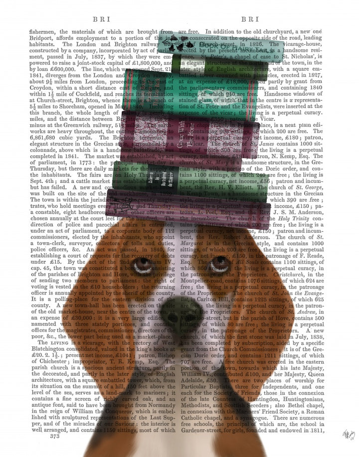 Beagle and Books